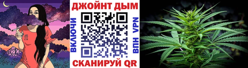 ГАШ Высоковск