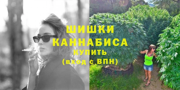 СК Богородицк