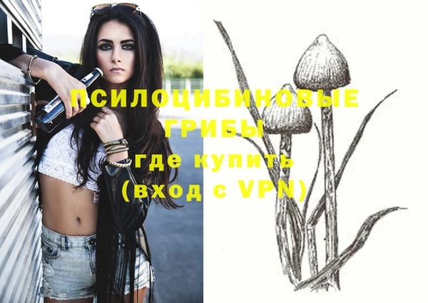 мет Богданович