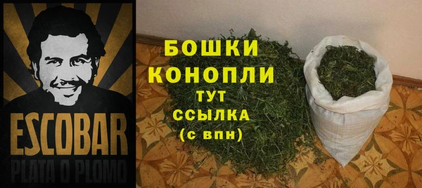СК Богородицк