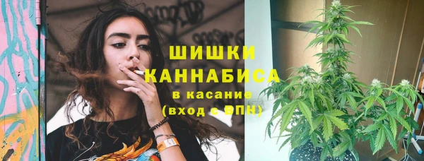 СК Богородицк