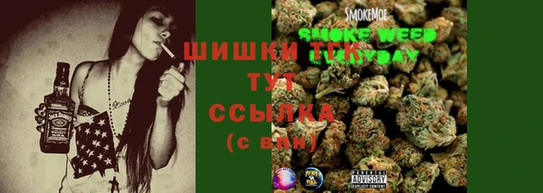 СК Богородицк